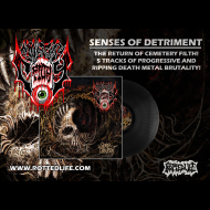 CEMETERY FILTH Senses of Detriment LP BLACK [VINYL 12"]